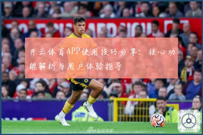 开云体育APP使用技巧分享：核心功能解析与用户体验指导